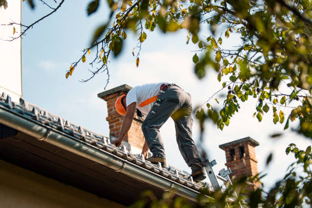 Best Local Roofing Companies  in Perry, GA