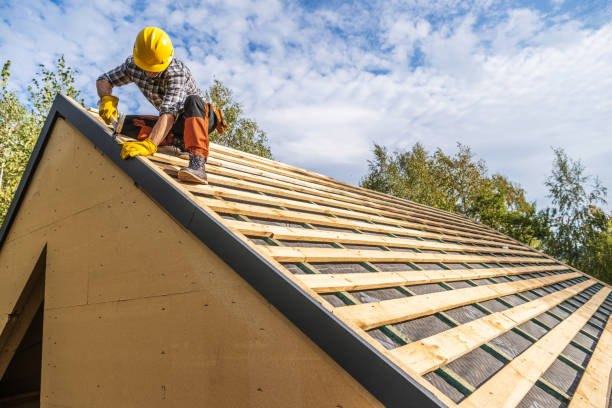 Best Metal Roofing Contractor  in Perry, GA