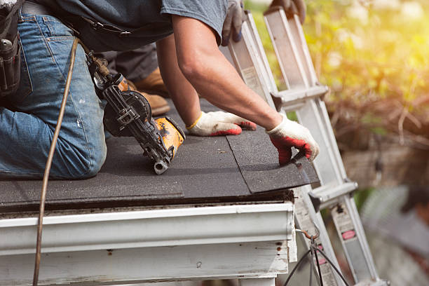 Professional Roofing Contractor in Perry, GA