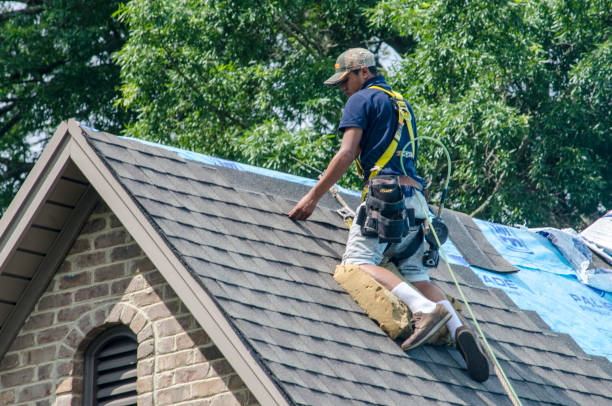 Best Emergency Roof Repair  in Perry, GA