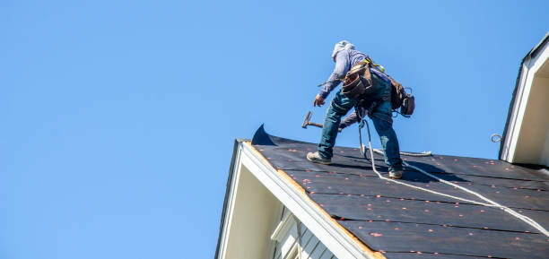 Best Roof Gutter Cleaning  in Perry, GA